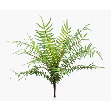 Konstväxt ormbunke Rippenfarn CASCOT på pinne, grön, 25cm