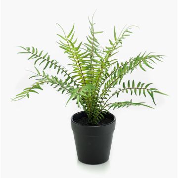 Konstväxt ormbunke CASCOT, grön, 20cm