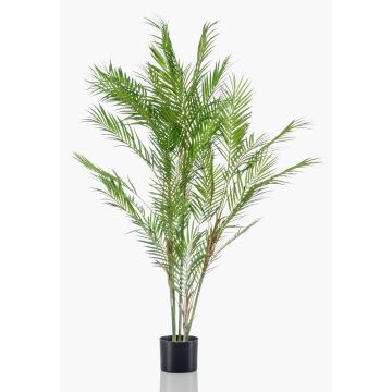 Konstpalm Bergpalm REDOVAN, 120cm