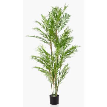 Konstgjord palm, bergspalm REDOVAN, 180cm Konstgjord palm, bergspalm REDOVAN, 180cm