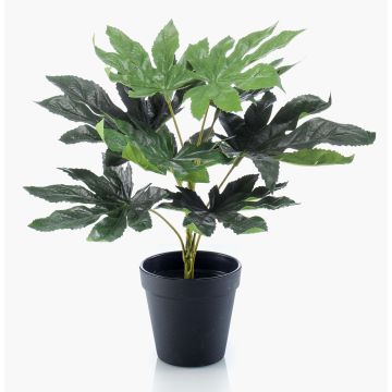 Konstväxt Aralia TEULADA, grön, 30cm
