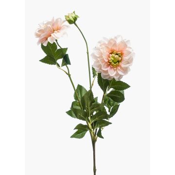 Dekorationsblomma, dahlia NAXOS med blommor, rosa-grön, 70cm, Ø10-11cm