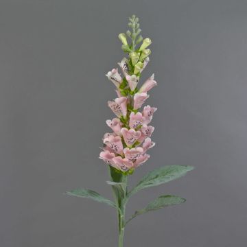 Konstgjord blomma fingerhatt LOBEIRA, rosa, 90cm, Ø13cm Konstgjord blomma fingerhatt LOBEIRA, rosa, 90cm, Ø13cm
