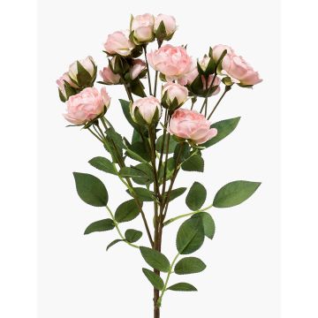 Konstgjord blomma, rosgren TOSSA, rosa-krämfärgad, 60cm, Ø1-4cm Konstgjord blomma, rosgren TOSSA, rosa-krämfärgad, 60cm, Ø1-4cm