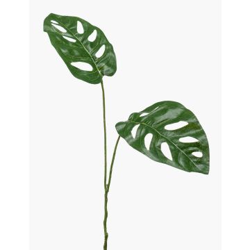Konstgjord gren Philodendron Monstera adansonii FESTIM, 50cm