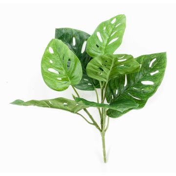 Konstgjord filodendron Monstera adansonii PUYA, på stödpinne, 30cm Konstgjord filodendron Monstera adansonii PUYA, på stödpinne, 30cm