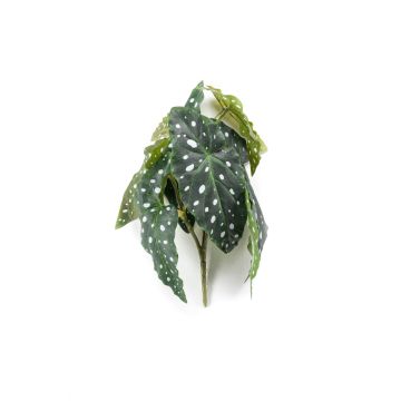 Konstväxt Forellbegonia JOELLE på stödpinne, grön-vit, 30cm Konstväxt Forellbegonia JOELLE på stödpinne, grön-vit, 30cm