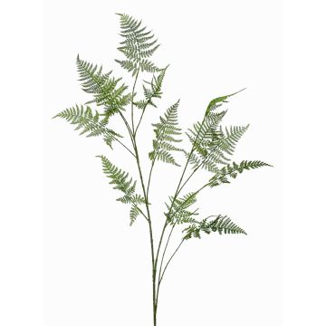 Konstgjord gren av Asparagus Plumosus FAYNA, 135cm
