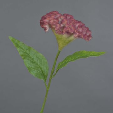 Konstgjord blomma Hahnenkamm ANUBIS, cerise, 60cm, Ø14cm Konstgjord blomma Hahnenkamm ANUBIS, cerise, 60cm, Ø14cm