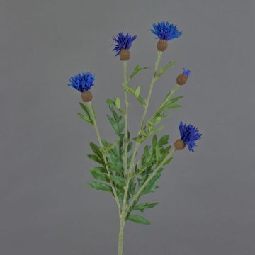 Konstgjord blomma, blåklint ORTIGO, blå, 60cm, Ø2-6cm