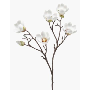 Konstblomma magnolia ANEU, krämfärgad, 65cm, Ø7-8cm