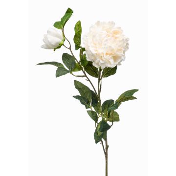 Stor konstblomma, pion ALEDIS, krämfärgad, 100cm, Ø7-17cm Stor konstblomma, pion ALEDIS, krämfärgad, 100cm, Ø7-17cm