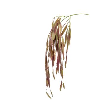 Konstgjord gren Rhipsalis EHUD, brun-lila, 80cm Konstgjord gren Rhipsalis EHUD, brun-lila, 80cm