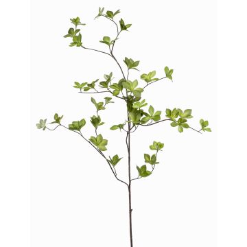 Konstgjord gren, praktfull nasturtium SAMAY, grön, 115cm Konstgjord gren, praktfull nasturtium SAMAY, grön, 115cm