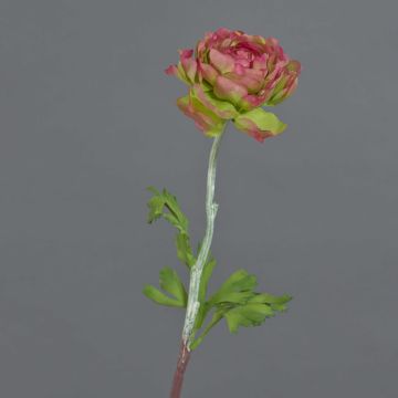 Konstgjord ranunkel ELORIO, cerise-grön, 50cm, Ø10cm