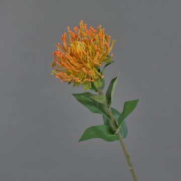 Konstblomma nålkudde Protea HERVAS, orange, 70cm, Ø12cm Konstblomma nålkudde Protea HERVAS, orange, 70cm, Ø12cm