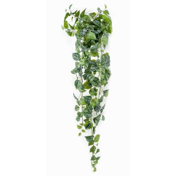 Hängande konstväxt Punktblomma ALANGE på stödpinne, grön-vit, 120cm
