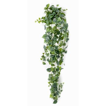 Hängande konstväxt Punktblomma ALANGE på stödpinne, grön-vit, 180cm