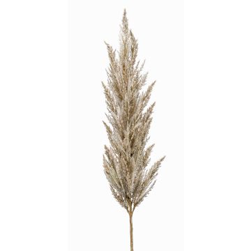 Konstgjord gren med pampasgräsris BATERNO, krämfärgad, 115cm Konstgjord gren med pampasgräsris BATERNO, krämfärgad, 115cm