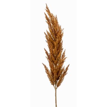 Konstgjord gren av pampasgräs Rispe BATERNO, brun, 115cm Konstgjord gren av pampasgräs Rispe BATERNO, brun, 115cm
