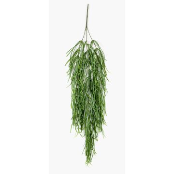 Konstgjord suckulent Rhipsalis hängande TALIGA på pinne, grön, 80cm Konstgjord suckulent Rhipsalis hängande TALIGA på pinne, grön, 80cm