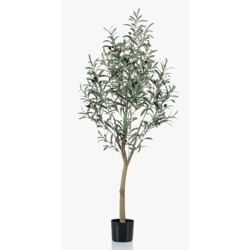 Konstgjord olivträd CLAYTON, konstgjord stam, med frukter, 140cm Konstgjord olivträd CLAYTON, konstgjord stam, med frukter, 140cm