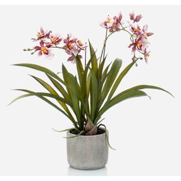 Konstgjord Oncidium-orkidé COLUNGA i keramikkruka, rosa-violett, 45cm