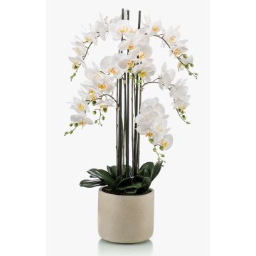Konstgjord orkidé Phalaenopsis CECILE, keramikkruka, vit, 100cm Konstgjord orkidé Phalaenopsis CECILE, keramikkruka, vit, 100cm