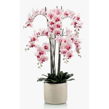Konstgjord orkidé Phalaenopsis CECILE, keramikkruka, rosa-cerise, 100cm