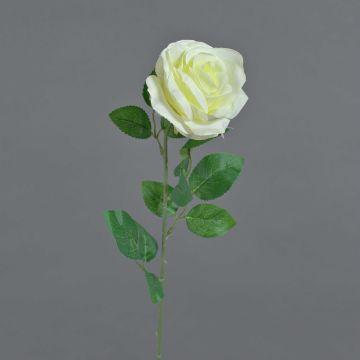 Konstblomma ros PEZOS, kräm, 60cm, Ø10cm Konstblomma ros PEZOS, kräm, 60cm, Ø10cm