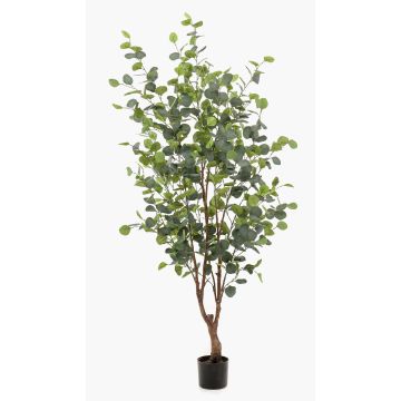 Konstgjord eukalyptusträd ANUHEA, konststam, grågrön, 140cm