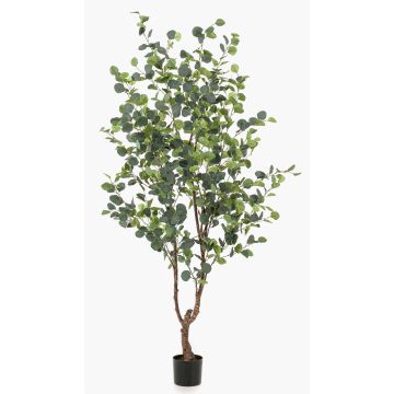 Konstgjord eukalyptusträd ANUHEA, konstgjord stam, grön-grå, 180cm