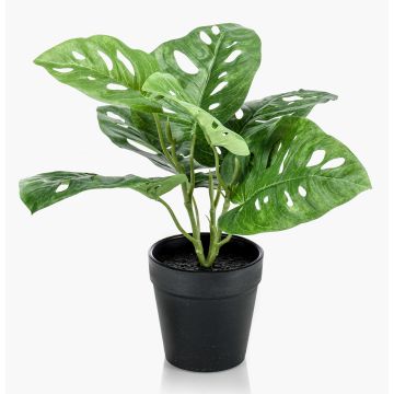 Konstgjord Philodendron Monstera adansonii PUYA, 30cm Konstgjord Philodendron Monstera adansonii PUYA, 30cm