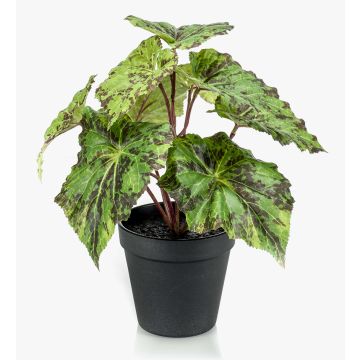 Konstväxt bladbegonia MEIRA, grön-svart, 25cm Konstväxt bladbegonia MEIRA, grön-svart, 25cm