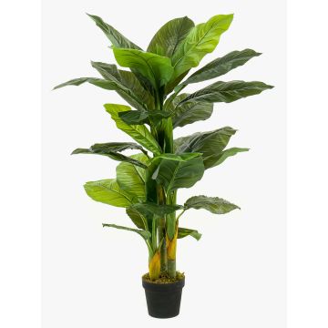 Konstväxt Spathiphyllum SIERO, grön, 130cm Konstväxt Spathiphyllum SIERO, grön, 130cm