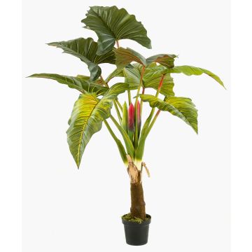 Konstgjord växt Colocasia SOTU, grön, 160cm Konstgjord växt Colocasia SOTU, grön, 160cm