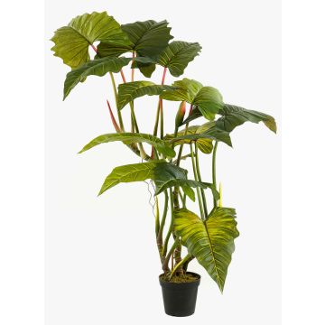 Konstgjord växt Colocasia SOTU, grön, 175cm Konstgjord växt Colocasia SOTU, grön, 175cm