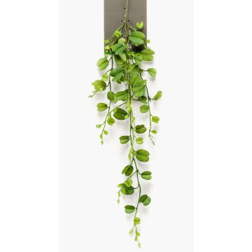 Konstgjord suckulent med hjärtformade blad ORERA på pinne, grön, 90cm Konstgjord suckulent med hjärtformade blad ORERA på pinne, grön, 90cm