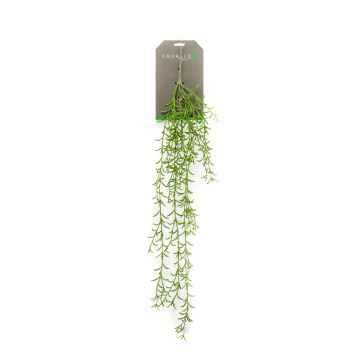 Konstgjord suckulent Rhipsalis hängande POMER på stödpinne, grön, 90cm Konstgjord suckulent Rhipsalis hängande POMER på stödpinne, grön, 90cm