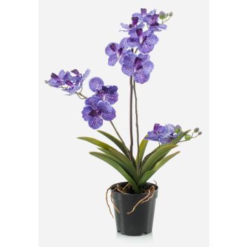 Konstgjord blomma, Vanda-orkidé CAMPO, violett, 60cm Konstgjord blomma, Vanda-orkidé CAMPO, violett, 60cm