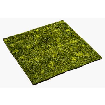 Konstväxtmatta av fleece, sovmossa FERMIN, grön, 100x100cm