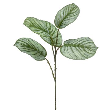 Konstgjord gren av Calathea Orbifolia ALNIYAT, grön-vit, 75cm