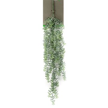 Konstväxt, suckulent Rhipsalis, hängande TUREIS, på pinne, grågrön, 70cm Konstväxt, suckulent Rhipsalis, hängande TUREIS, på pinne, grågrön, 70cm