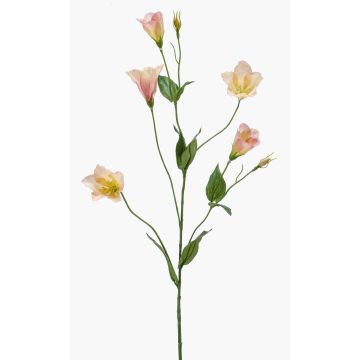 Konstgjord blomma Lisianthus PAZAN, rosa-krämfärgad, 70cm, Ø3-5cm