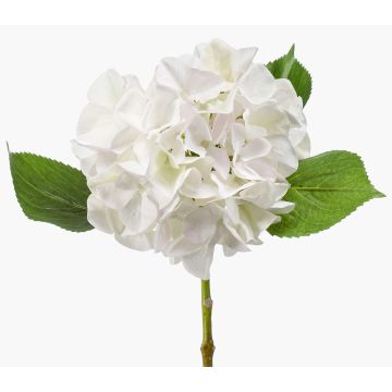 Konstblomma hortensia AMARILDO, vit-grön, 50cm, Ø16cm Konstblomma hortensia AMARILDO, vit-grön, 50cm, Ø16cm