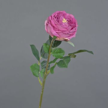 Konstros Kohl-Rose CATINCA, rosa, 60cm, Ø9cm Konstros Kohl-Rose CATINCA, rosa, 60cm, Ø9cm