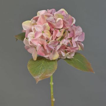 Konstblomma hortensia AMARILDO, rosa-gul, 50cm, Ø16cm Konstblomma hortensia AMARILDO, rosa-gul, 50cm, Ø16cm