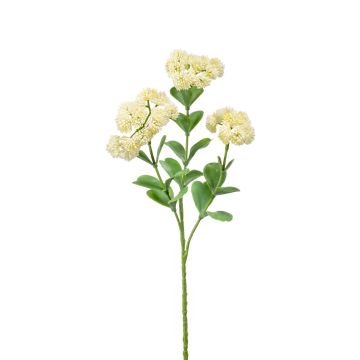 Konstgjord Sedum spectabile-blomma EUFRASIA, krämfärgad, 55cm