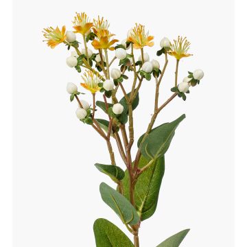 Dekorativ kvist av johannesört CANNO med blommor och frukter, gul-vit, 65cm, Ø3cm Dekorativ kvist av johannesört CANNO med blommor och frukter, gul-vit, 65cm, Ø3cm