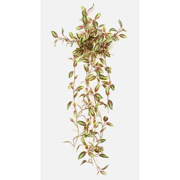Konstväxt Tradescantia zebrina DIHALLO på stödpinne, hängande, grön-röd, 70cm Konstväxt Tradescantia zebrina DIHALLO på stödpinne, hängande, grön-röd, 70cm